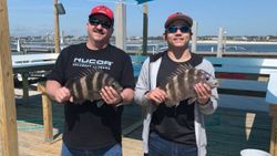 Two sheepshead fish caught in AL