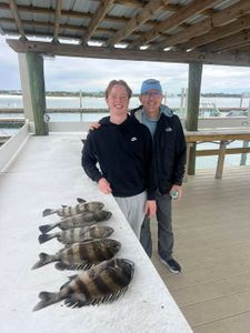 Two sheepshead fish caught during fishing trip in Orange Beach
