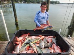 Gulf waters, great fishing, all day