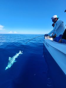 Cruising and fishing adventure in FL