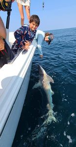Shark Fishing dreams in Destin