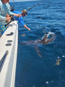 Angler enjoys fishing in Florida