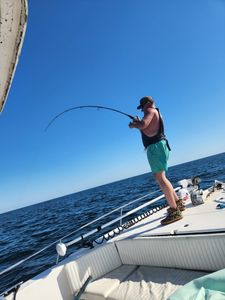 Picturesque view of Gulf Breeze, Florida during a fishing cruise