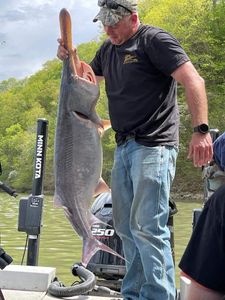 Fish-Species