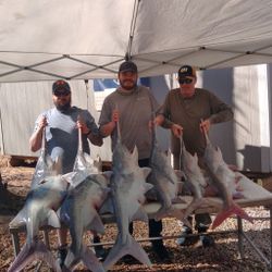 Successful paddlefish haul! 🎣🐟
