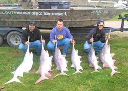 6 big fish caught while fishing in California