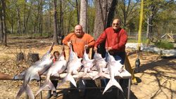 Three anglers with a great catch of 3 fish in MO