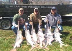 Three anglers with a catch of 3 big fish in California