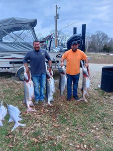 4 Atlantic Sharpnose Sharks caught fishing in MO