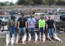 10 chub mackerel, 24-inch fish caught in Missouri