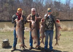4 big fish caught while fishing in California