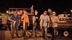 5 people fishing in California