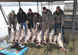 7 fish caught in California