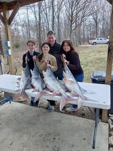 Four swordfish and gafftopsail sea catfish caught in MO
