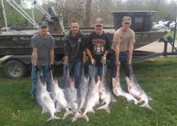 4 hardhead sea catfish caught in MO