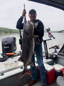 A single King Mackerel fish caught while fishing in MO
