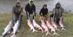 4 big fish caught in MO