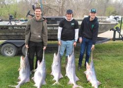 5 fish caught in Missouri with fishing