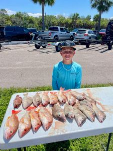 Big catch near St. Pete Pier