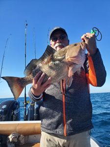 Hooked near the Sunshine Skyway