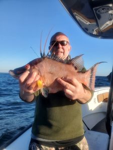 St. Pete coastal fishing fun