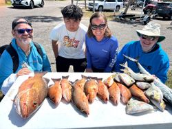 Tampa Bay backwater catch