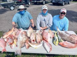 7 fishing in FL