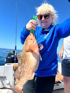 A lone angler reeled in a 19-inch fish in sunny FL
