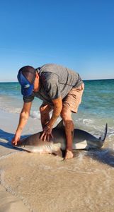 Scenic landscape in FL with fishing gear