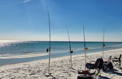 Scenic view of the Florida coastline during a fishing trip