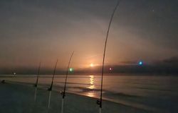 fishing trip in florida