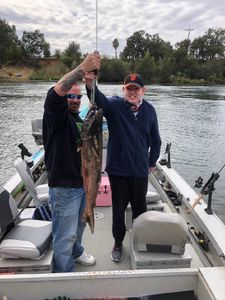 Anglers fishing in California