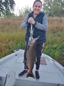 Chinook Salmon fishing in CA