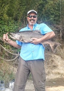 Chinook Salmon caught while fishing in Corning