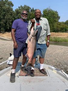 Coho salmon caught fishing in CA