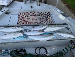 8 fishing in Corning