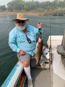 A rainbow trout fish caught in Corning