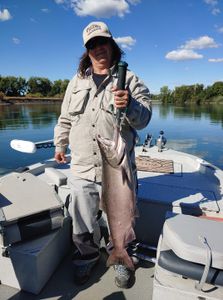 Sea trout, 27-inch fish caught while fishing in CA