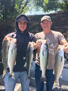 5 striped bass caught in Corning