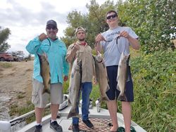 Four large lake trout and rainbow trout caught in CA