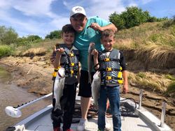Two striped bass, fishing in CA