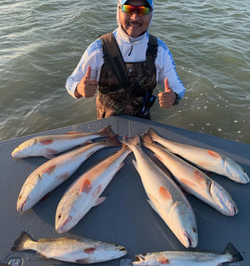 6 pink salmon caught fishing in TX