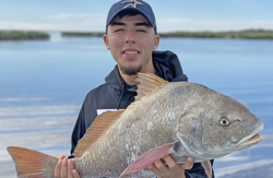 Black Drum fish caught while fishing in TX