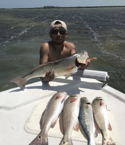 5 redfish caught in TX