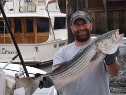 Striped bass fishing in Cape Cod, MA