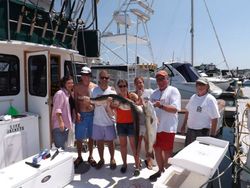 Two Atlantic Sailfish caught in Cape Cod