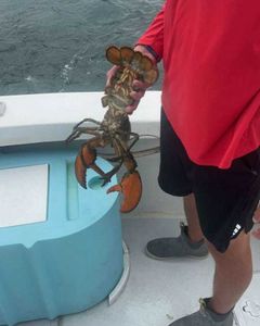 Best fishing trip at Cape Cod