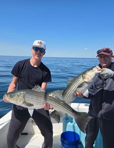 Fish-Species