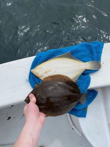 Two fishermen reeling in their catch at Cape Cod