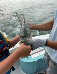 Single fisherman fishing in MA